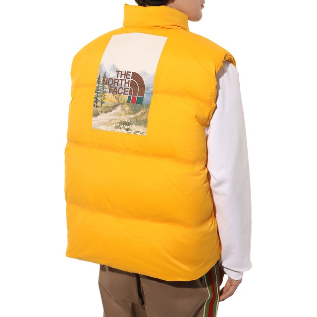 фото Пуховый жилет the north face x gucci gucci