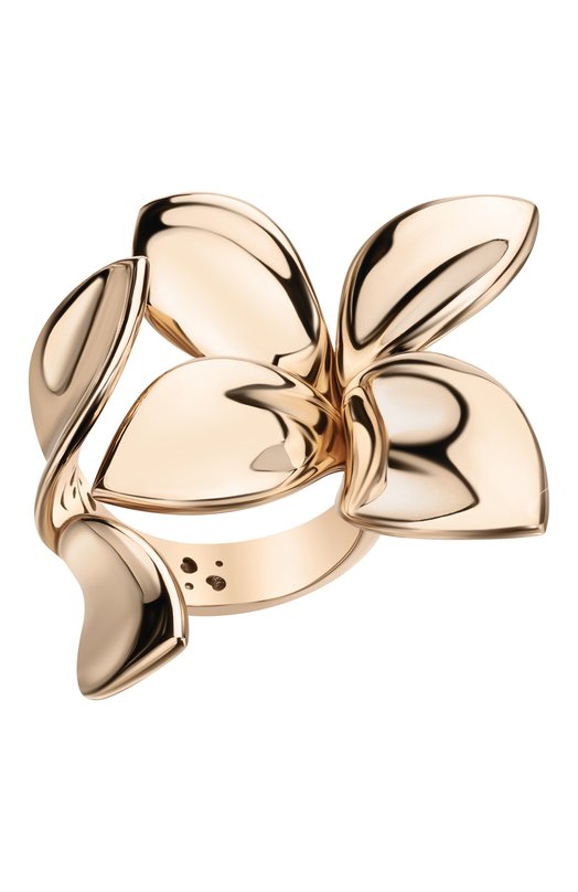 фото Кольцо pasquale bruni