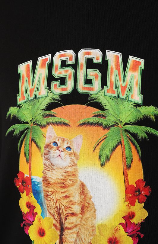 фото Хлопковое худи msgm