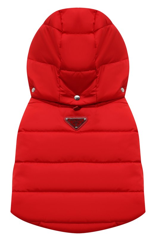 фото Жилетка для собак prada