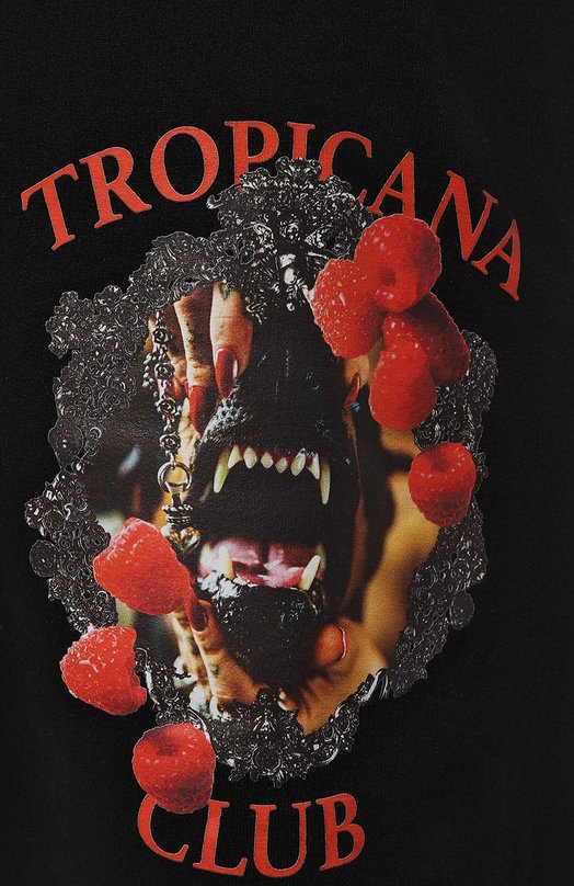 фото Хлопковая футболка rh45