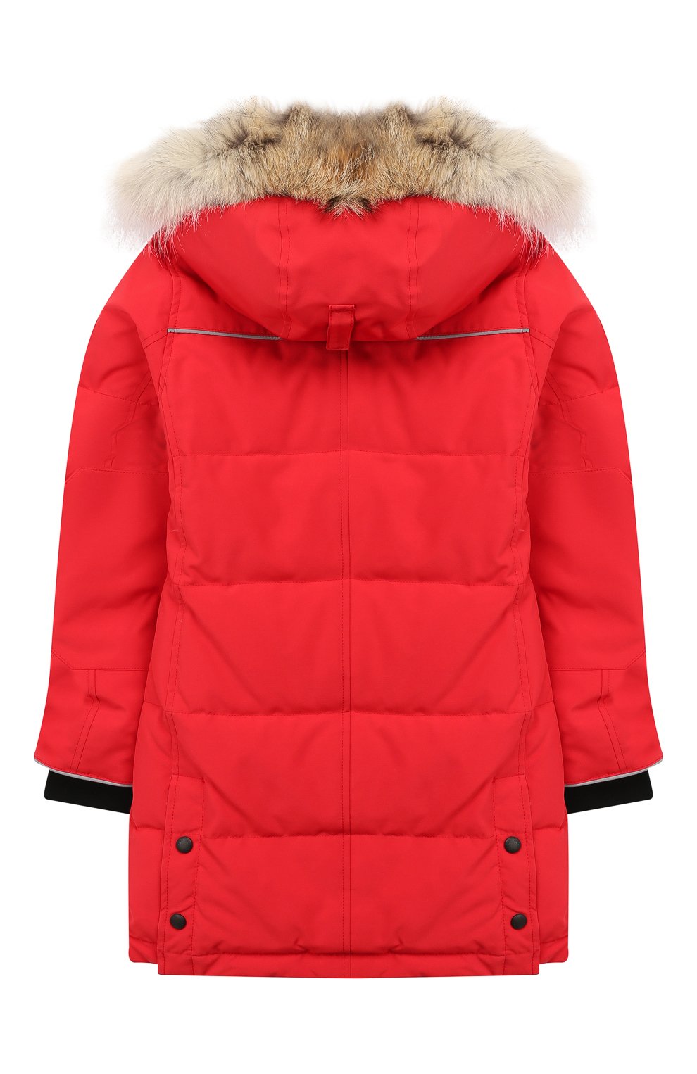 juniper canada goose