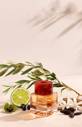 Женский парфюмерная вода illusione BOTTEGA VENETA бесцветного цвета по цене 8560 руб., арт. 3614225621833 | Фото 3 Женский парфюмерная вода illusione BOTTEGA VENETA бесцветного цвета, арт. 3614225621833 | Фото 3