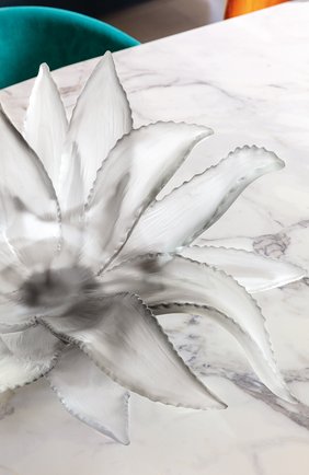 Мужского блюдо agave DAUM серого цвета по цене 1230000 руб., арт. 05664-1 | Фото 2 Мужского блюдо agave DAUM серого цвета, арт. 05664-1 | Фото 2
