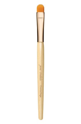 Женская кисть для нанесения корректирующих средств JANE IREDALE бесцветного цвета по цене 2190 руб., арт. 670959310507 | Фото 1 Женская кисть для нанесения корректирующих средств JANE IREDALE бесцветного цвета, арт. 670959310507 | Фото 1