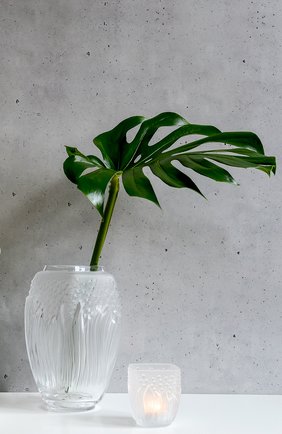 Подсвечник muguet LALIQUE прозрачного цвета по цене 378000 тенге, арт. 10709200 | Фото 2 Подсвечник muguet LALIQUE прозрачного цвета, арт. 10709200 | Фото 2 (Ограничения доставки: fragile-2)