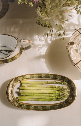 Блюдо для солений eventail vert BERNARDAUD зеленого цвета по цене 79950 руб., арт. 1848/125 | Фото 2 Блюдо для солений eventail vert BERNARDAUD зеленого цвета, арт. 1848/125 | Фото 2 (Интерьер_коллекция: Eventail Vert; Ограничения доставки: fragile-2)