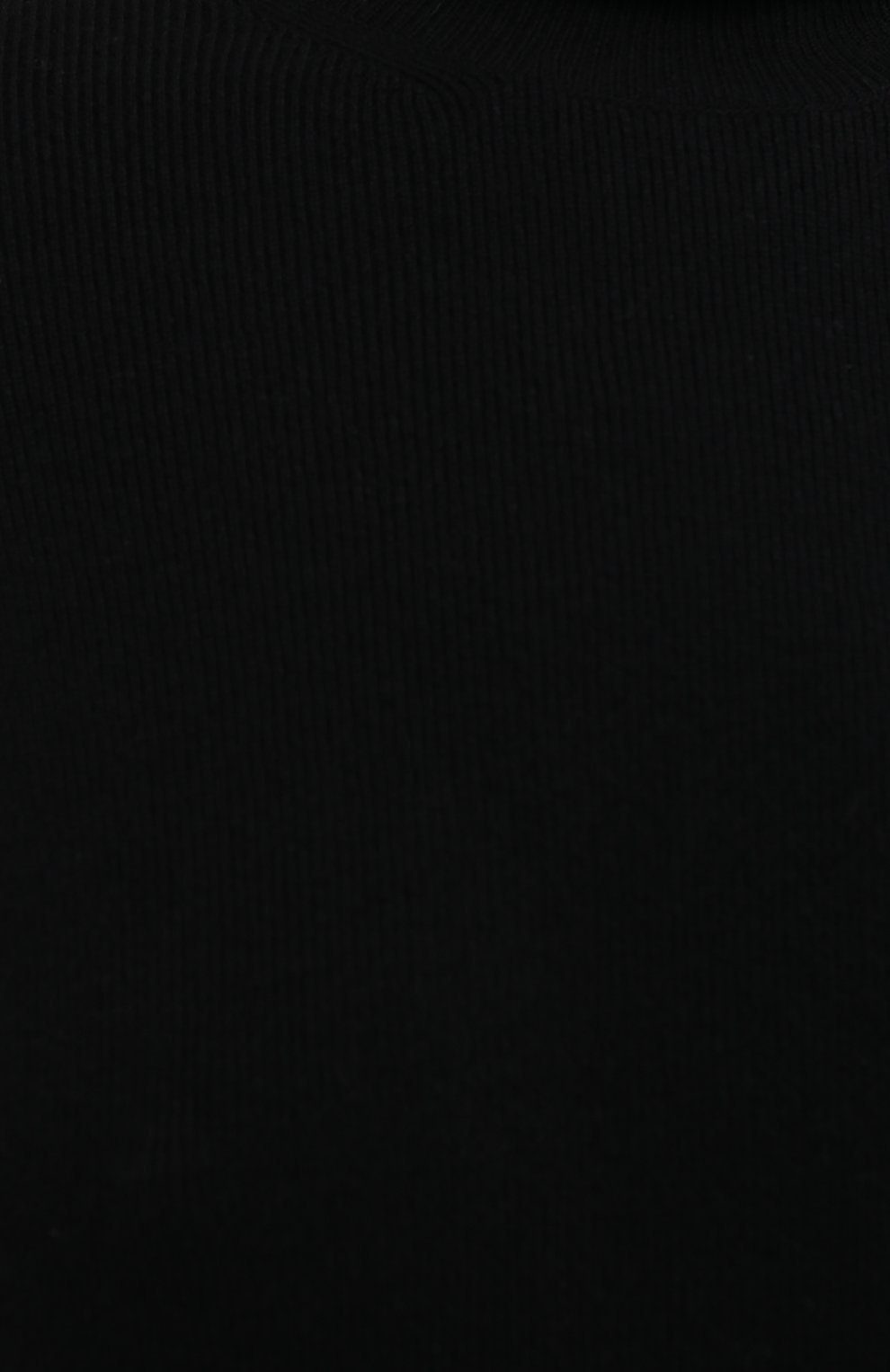 Женская кашемировая водолазка LORO PIANA черного цвета, арт. FAL3605 | Фото 5 (Женское Кросс-КТ: Водолазка-одежда; Материал внешний: Шерсть, Кашемир; Рукава: Длинные; Длина (для топов): Стандартные; Региональные ограничения белый список (Axapta Mercury): RU; Кросс-КТ: Трикотаж; Стили: Классический)