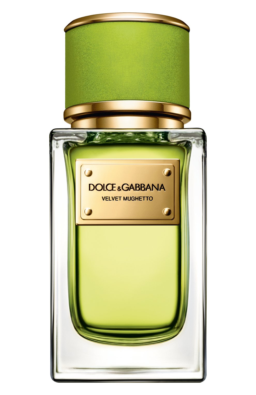 dolce & gabbana velvet
