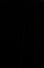 Женские брюки из вискозы и шелка GIORGIO ARMANI черного цвета, арт. 0WHPP0FR/T01FD | Фото 5 (Стили: Ретро; Женское Кросс-КТ: Брюки-одежда; Силуэт Ж (брюки и джинсы): Джоггеры; Материал внешний: Вискоза; Длина (брюки, джинсы): Укороченные)