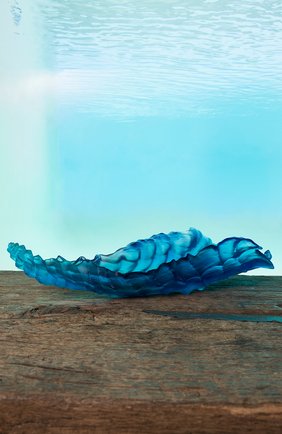 Блюдо на центр стола coral sea DAUM синего цвета по цене 1650000 руб., арт. 05709 | Фото 2 Блюдо на центр стола coral sea DAUM синего цвета, арт. 05709 | Фото 2 (Интерьер_коллекция: Coral Sea)