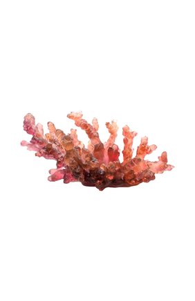 Блюдо для фруктов coral sea DAUM разноцветного цвета по цене 499500 руб., арт. 05713-1 | Фото 1 Блюдо для фруктов coral sea DAUM разноцветного цвета, арт. 05713-1 | Фото 1 (Интерьер_коллекция: Coral Sea)