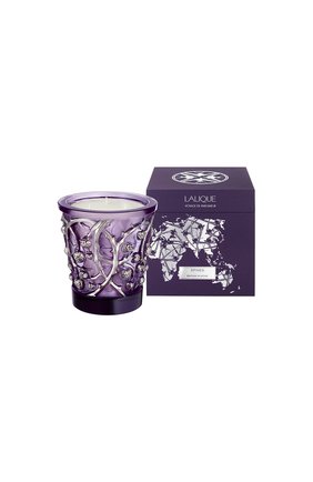 Свеча epines LALIQUE фиолетового цвета по цене 197500 руб., арт. B14600 | Фото 2 Свеча epines LALIQUE фиолетового цвета, арт. B14600 | Фото 2