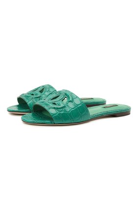 Женские шлепанцы из кожи крокодила bianca DOLCE & GABBANA зеленого цвета по цене 82300 руб., арт. CQ0436/A2W90/CCR0 | Фото 1 Женские шлепанцы из кожи крокодила bianca DOLCE & GABBANA зеленого цвета, арт. CQ0436/A2W90/CCR0 | Фото 1 (Подошва: Плоская; Материал внешний: Экзотическая кожа; Каблук высота: Низкий; Материал внутренний: Натуральная кожа)