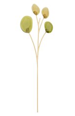 Украшение garden tales eucalyptus SWAROVSKI хаки цвета, арт. 5557803 | Фото 1 (Ограничения доставки: fragile-2)
