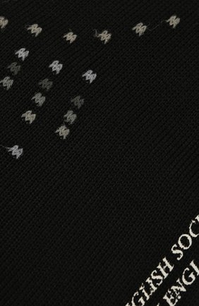 Мужские носки PANTHERELLA черного цвета, арт. 535627 | Фото 2 (Материал внешний: Синтетический материал, Хлопок; Кросс-КТ: бельё; Региональные ограничения белый список (Axapta Mercury): RU)