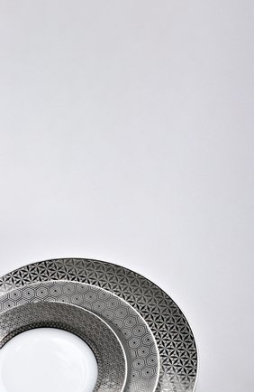 Тарелка сервировочная divine BERNARDAUD серебряного цвета, арт. 1388/6189 | Фото 2 (Интерьер_коллекция: Divine; Ограничения доставки: fragile-2)