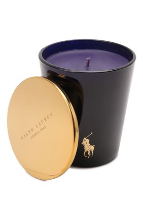 Свеча в стакане RALPH LAUREN синего цвета по цене 0 руб., арт. 684798469 | Фото 1 Свеча в стакане RALPH LAUREN синего цвета, арт. 684798469 | Фото 1 (Ограничения доставки: flammable)