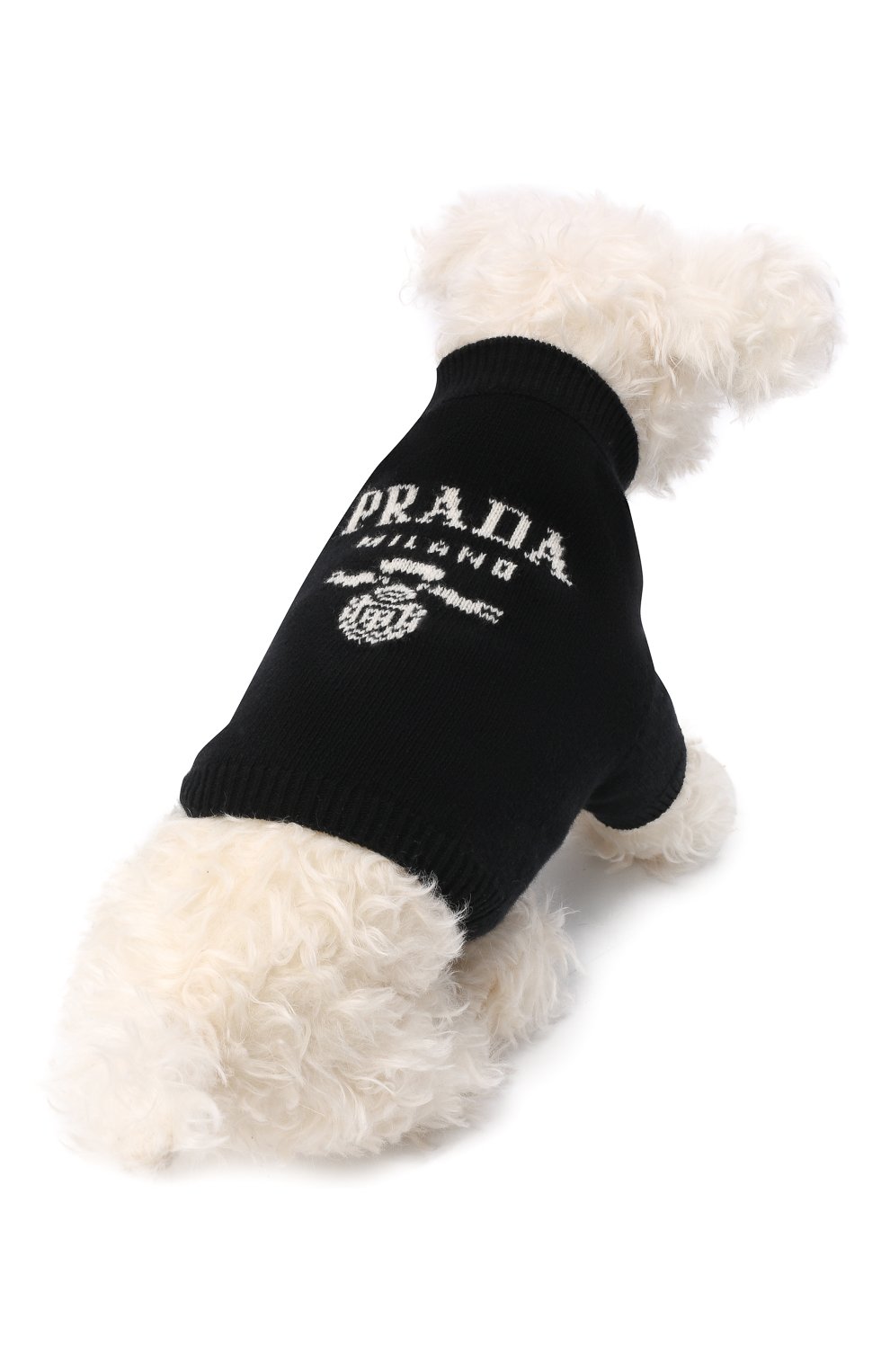 Свитер для собак PRADA черного цвета по цене 0 руб., арт. 2YX009-2D12-F0002 | Фото 4 Свитер для собак PRADA черного цвета, арт. 2YX009-2D12-F0002 | Фото 4