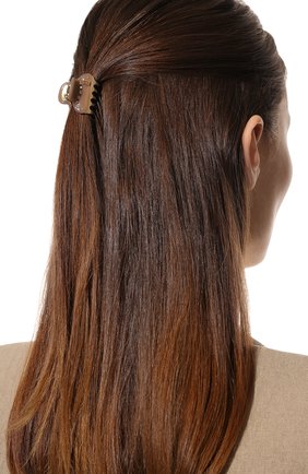 Женская заколка для волос ALEXANDRE DE PARIS бежевого цвета, арт. ICCB-12831-03P22 H | Фото 2 (Материал: Пластик)
