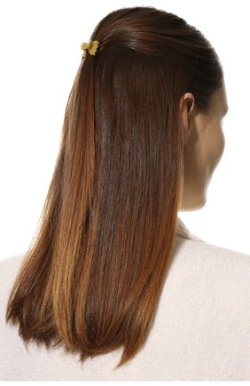 Женская комплект из двух заколок для волос ALEXANDRE DE PARIS салатового цвета, арт. ICCXS-14338-02P22 K | Фото 2 (Материал: Пластик)
