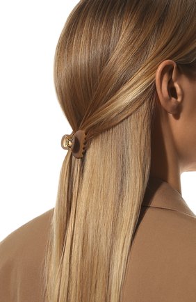 Женская заколка для волос ALEXANDRE DE PARIS коричневого цвета, арт. ICCB-12831-02P22 H | Фото 2 (Материал: Пластик)