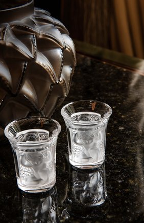Стопка для ликера enfants LALIQUE прозрачного цвета по цене 17450 руб., арт. 1340000 | Фото 2 Стопка для ликера enfants LALIQUE прозрачного цвета, арт. 1340000 | Фото 2