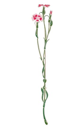Женская брошь гвоздика- полевая РУССКИЕ САМОЦВЕТЫ зеленого цвета, арт. 41504 | Фото 1 (Материал: Серебро)
