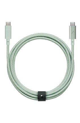 Кабель belt cable type-c usb-c NATIVE UNION светло-зеленого цвета, арт. BELT-C-GRN-PRO-NP | Фото 1