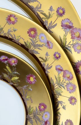 Пиала суповая heloise BERNARDAUD золотого цвета по цене 39950 руб., арт. 0487/26 | Фото 2 Пиала суповая heloise BERNARDAUD золотого цвета, арт. 0487/26 | Фото 2 (Ограничения доставки: fragile-2)