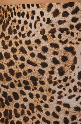 Женские леггинсы ROBERTO CAVALLI леопардового цвета, арт. PWT25A/LNF34 | Фото 5 (Женское Кросс-КТ: Леггинсы-одежда; Стили: Гламурный; Длина (брюки, джинсы): Стандартные; Материал внешний: Синтетический материал)
