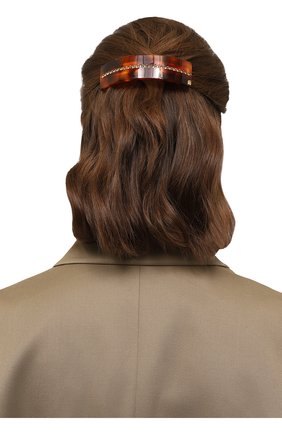Женская заколка для волос ALEXANDRE DE PARIS коричневого цвета, арт. AQCH-1743-35 E | Фото 2 (Материал: Пластик)