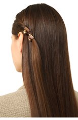 Женская комплект из двух заколок для волос ALEXANDRE DE PARIS коричневого цвета, арт. ICCXS-14338-04P23 OH | Фото 2 (Материал: Пластик)