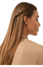 Женская комплект из двух заколок для волос ALEXANDRE DE PARIS коричневого цвета, арт. ICCXS-14338-03P23 OH | Фото 2 (Материал: Пластик)
