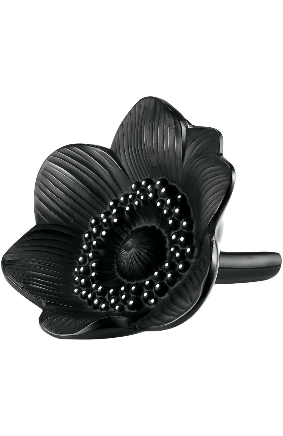 Мужского скульптура anemone LALIQUE бесцветного цвета, арт. 10056100 | Фото 1