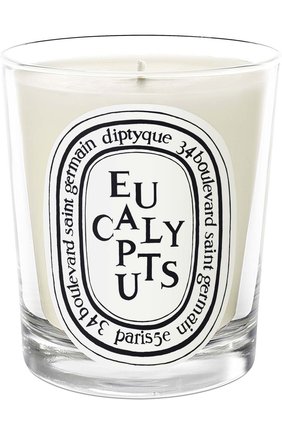 Свеча Eucalyptus | Фото №1 Свеча Eucalyptus | Фото №1