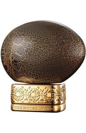 Парфюмерная вода Blessing Silence The House Of Oud, арт. 8051277318567 в ЦУМ | Фото №1 Парфюмерная вода Blessing Silence The House Of Oud | Фото №1