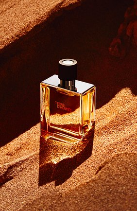 Мужской духи terre d'hermès (75ml) HERMÈS бесцветного цвета по цене 12100 руб., арт. 24578H | Фото 3 Мужской духи terre d'hermès (75ml) HERMÈS бесцветного цвета, арт. 24578H | Фото 3 (Статус проверки: Проверена категория; Ограничения доставки: flammable)