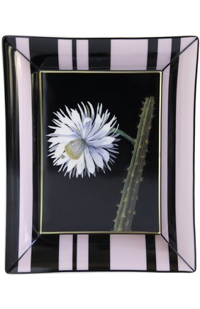 Мужского мелочница fleur de cactus BERNARDAUD разноцветного цвета по цене 18000 руб., арт. 1756/4511 | Фото 1 Мужского мелочница fleur de cactus BERNARDAUD разноцветного цвета, арт. 1756/4511 | Фото 1