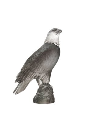 Мужского скульптура eagle DAUM черного цвета по цене 69900 руб., арт. 05410 | Фото 1 Мужского скульптура eagle DAUM черного цвета, арт. 05410 | Фото 1