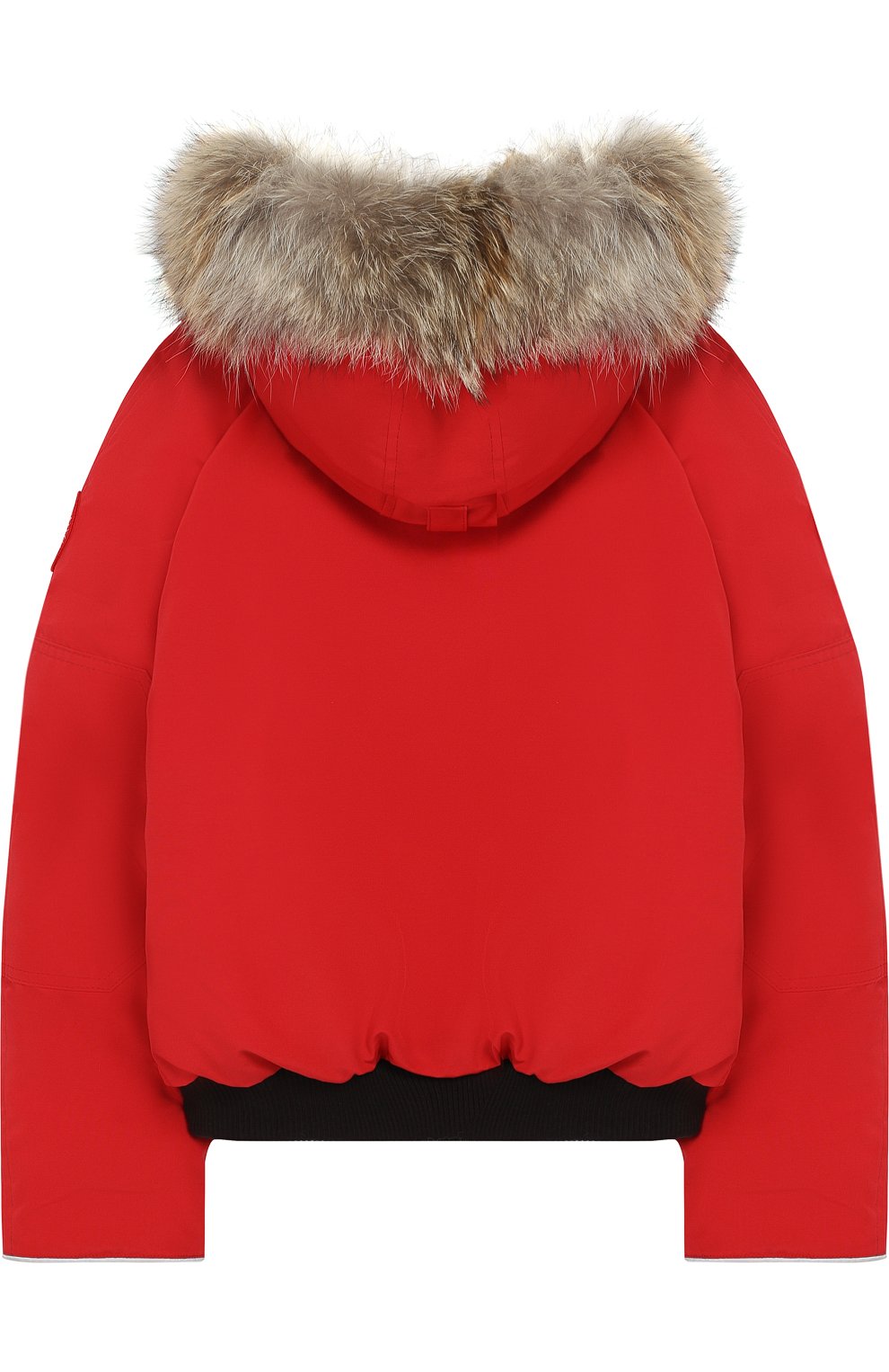 canada goose gobi