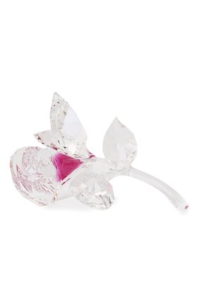 Мужского фигурка blossoming rose SWAROVSKI прозрачного цвета по цене 11890 руб., арт. 5248878 | Фото 2 Мужского фигурка blossoming rose SWAROVSKI прозрачного цвета, арт. 5248878 | Фото 2