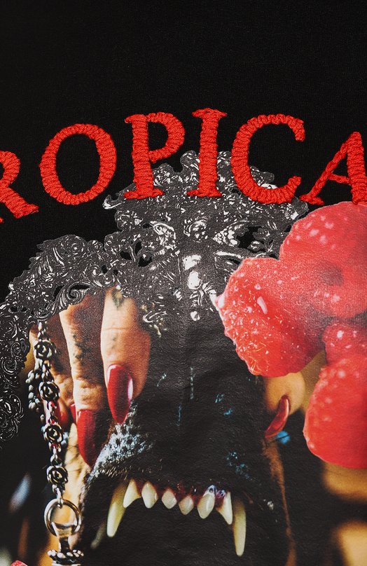 фото Хлопковое худи rh45